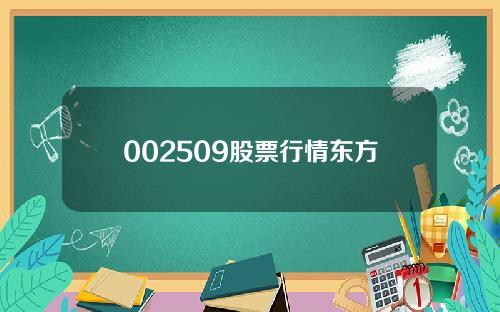 002509股票行情东方财富网(002506东方财富网)