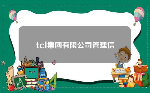 tcl集团有限公司管理信息系统应用