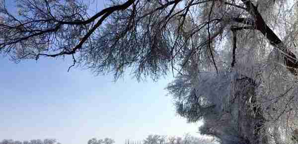 新疆伊犁冬季雪景-天鹅泉