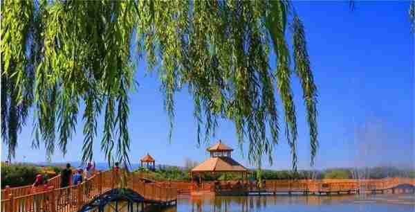 探访中国最大的内陆淡水湖人文地域——新疆博湖县