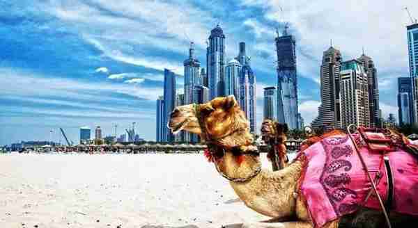第一次去迪拜旅游，需要带多少money呢？