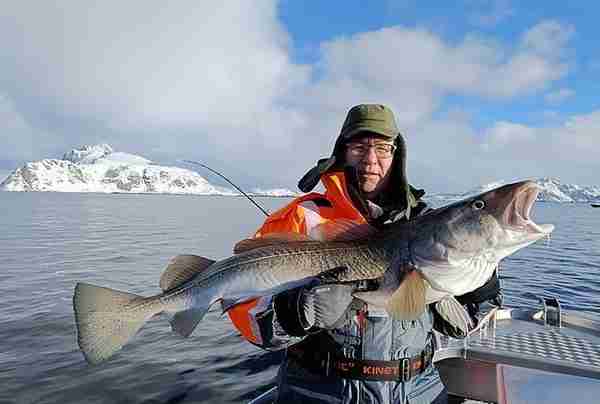 瑞典父子钓到40斤大鳕鱼，价值4500元，够35个人吃