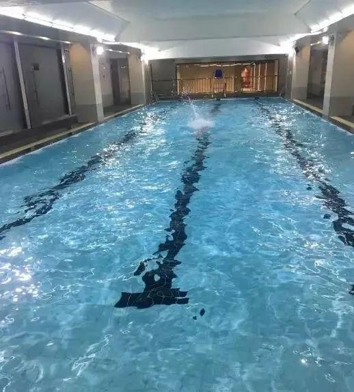 酷暑似蒸笼？不如去游泳！上海这10个区正规游泳馆一览