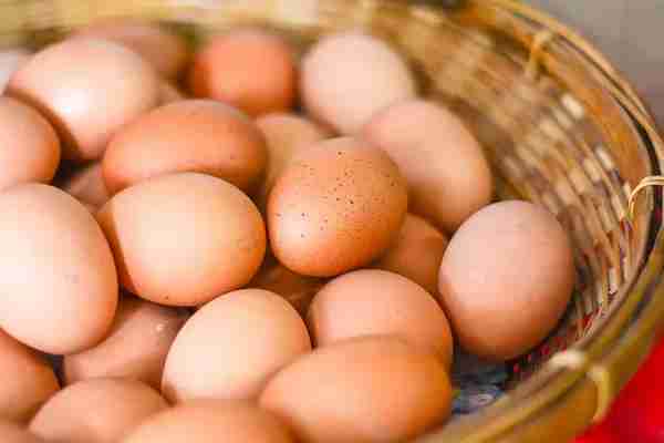 2014年10月期货鸡蛋市场供给量分析(2014年鸡蛋价格暴涨)