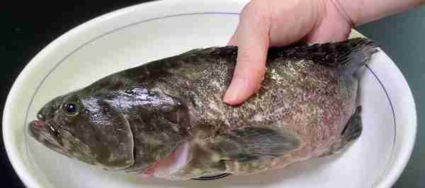 秋季吃鱼，就选这5种野生海鱼，不能人工养殖，营养好吃还不贵