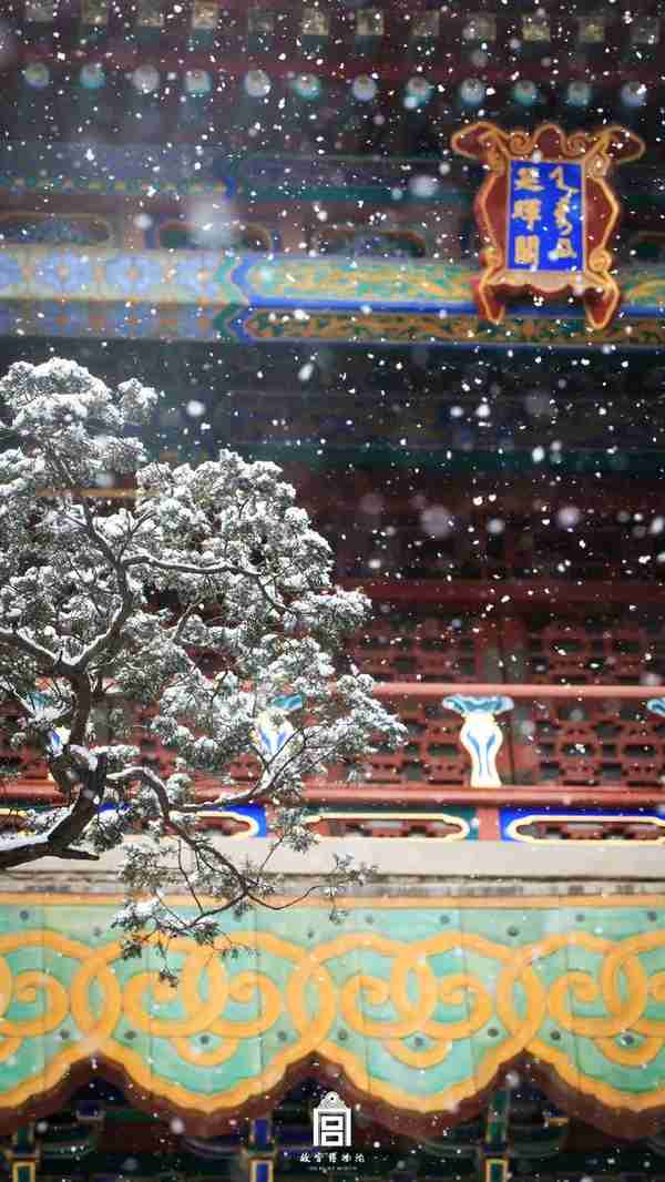 虎年初雪，故宫绝美雪景上新了