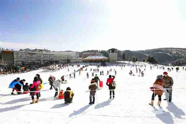 首场大雪后，仙女山美成了冰雪童话世界！积雪超10厘米，户外滑雪场全部开放