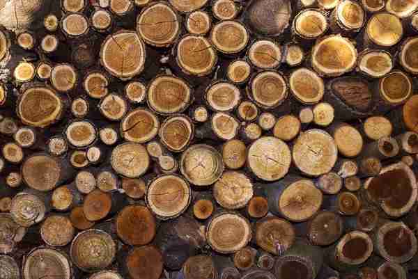 美国木材价格上涨了2倍，最大用途是什么？