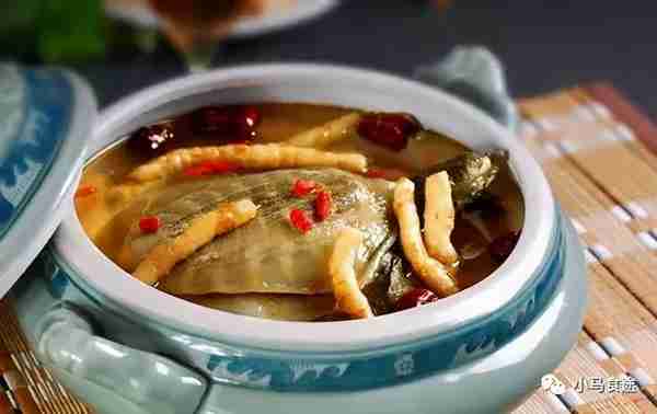 11款甲鱼做法，一桌甲鱼宴，有清淡有重口味，营养丰富，美味诱人