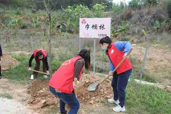 【新时代文明实践】红坊镇：种植一片绿，收获志愿情