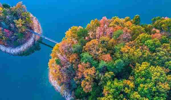千岛湖的美轮美奂，都藏在这1078个岛屿中