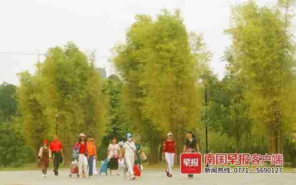 江南公园秋日美景刷屏南宁人的朋友圈，你还没来打卡吗？