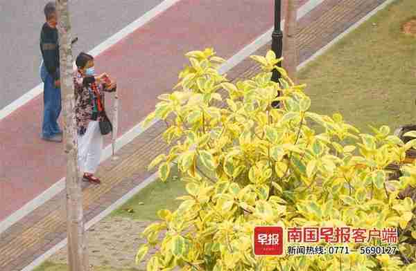 江南公园秋日美景刷屏南宁人的朋友圈，你还没来打卡吗？