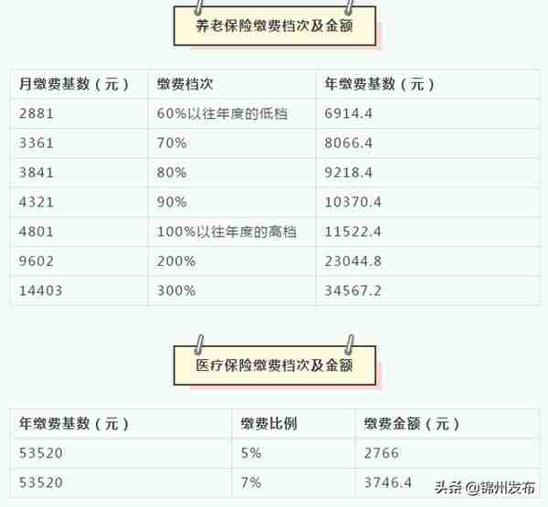 锦州2019社保年度个体人员社保缴费标准公布
