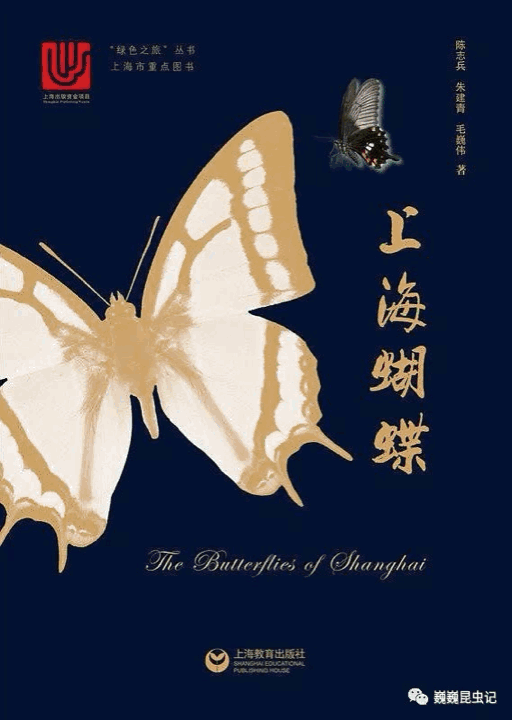 “上海昆虫家谱”公民科学项目启动！招募昆虫调查志愿者！