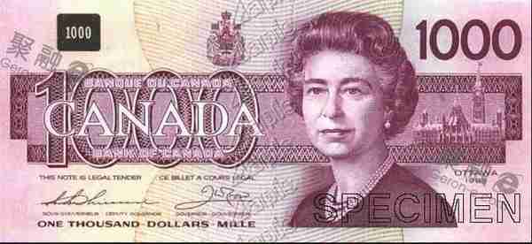 加拿大面值是多少人民币多少人民币(加拿大面值图片大全)