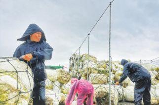 霞浦扎实推进海上养殖综合整治和海洋渔业转型升级