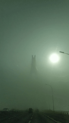 大雾锁江城，二七大桥上如云中开车