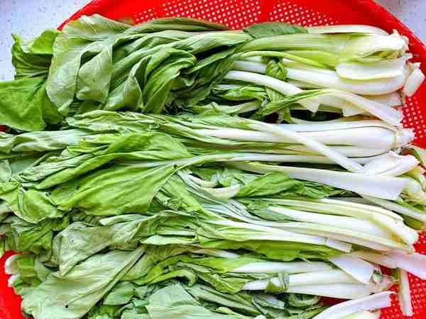 腌酸菜最正宗的方法，不加一滴水，又酸又脆，保存久，不烂不发霉