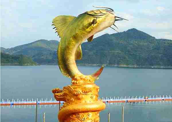 它被称“淡水鱼之王”，看外表总被误认是鲶鱼，吃货才懂它的鲜美