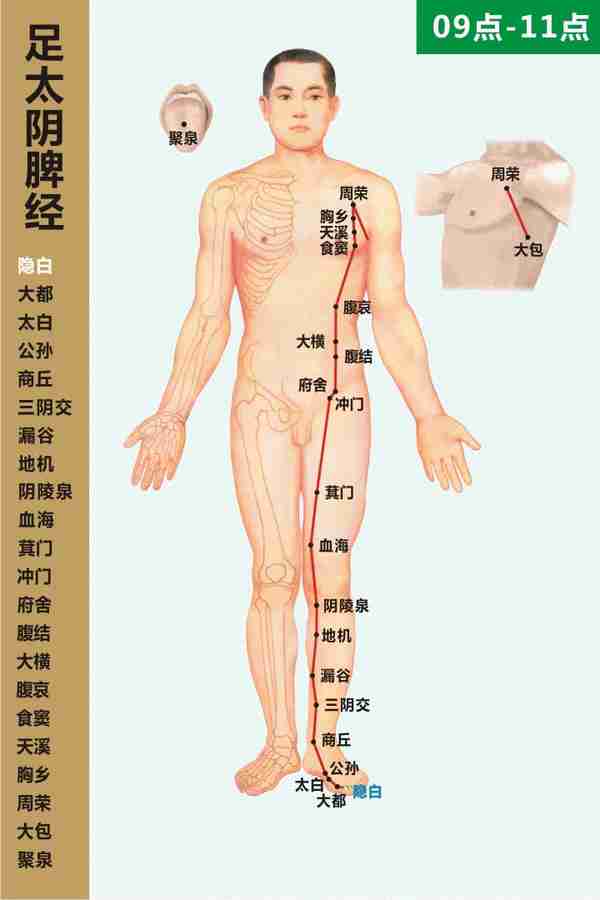 十二经络学习（4）：足太阴脾经及脾经上的原穴、洛穴和输穴
