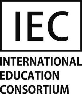 国际电工IEC发布自平衡车新标准IEC 60335-2-114：2018｜最新变化