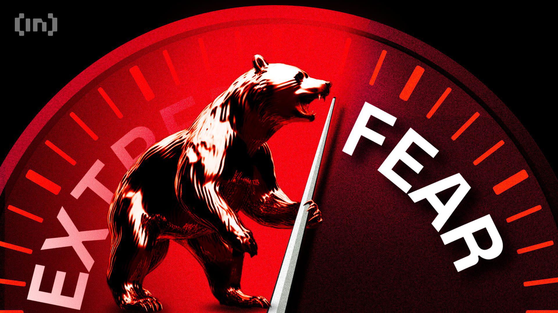 应对11月份恐慌情绪的3种明智购买山寨币策略揭秘